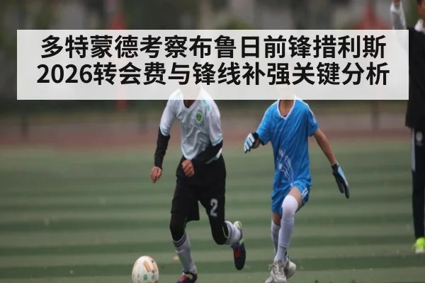 多特蒙德考察布鲁日前锋措利斯 2026转会费与锋线补强关键分析